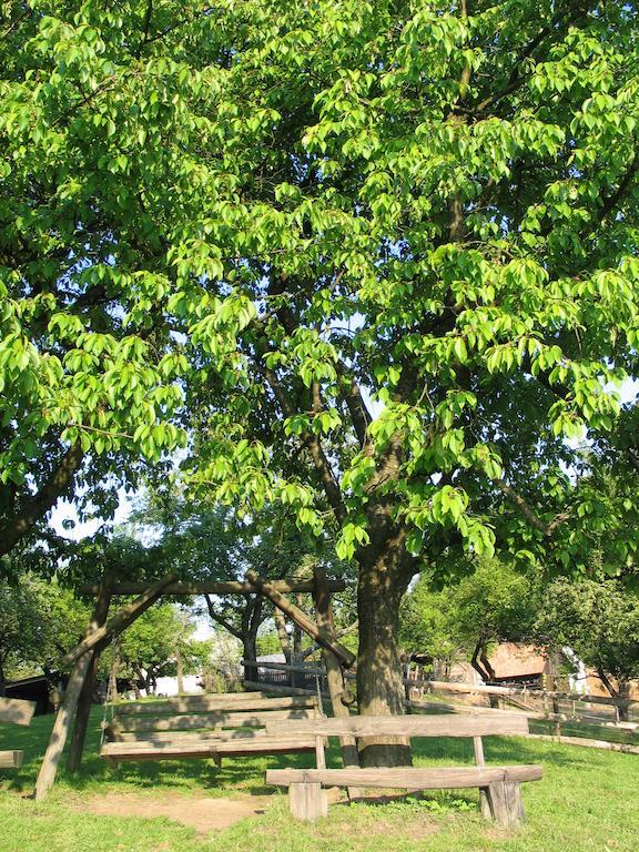 Pri Lazarju Farm Stay Podgrad Kültér fotó