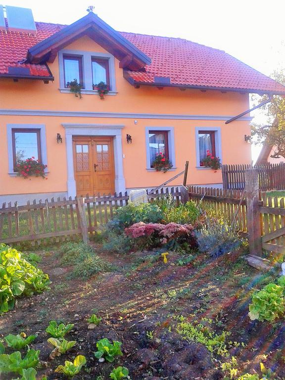Pri Lazarju Farm Stay Podgrad Kültér fotó