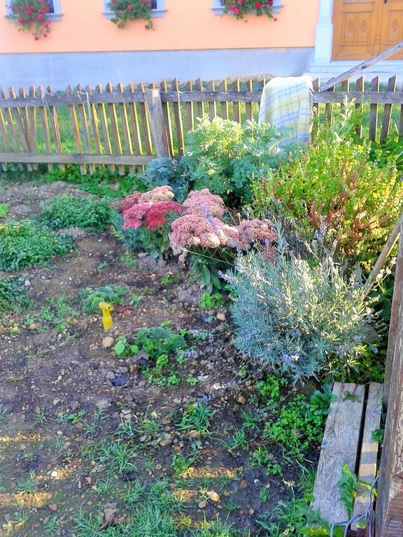 Pri Lazarju Farm Stay Podgrad Kültér fotó
